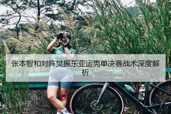 张本智和对阵樊振东亚运男单决赛战术深度解析